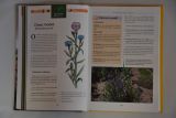 encyklopedie-lecivych-rostlin-0011